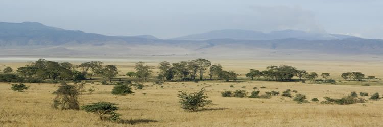 Safari Fotográfico Kenya, Tanzania y Estambul con Madrid 2027!